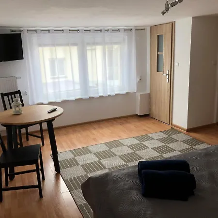 łabędź * Jastarnia