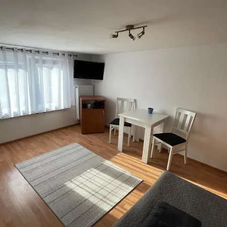 łabędź * Jastarnia