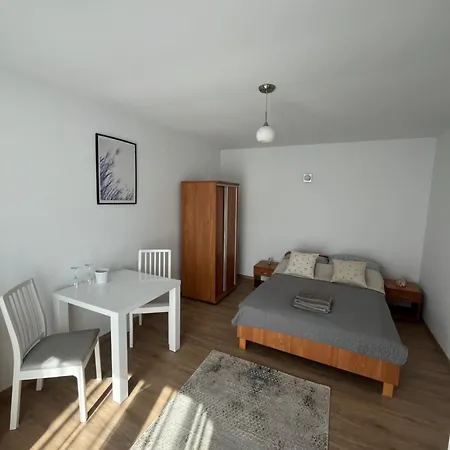 łabędź Kwatera prywatna Jastarnia