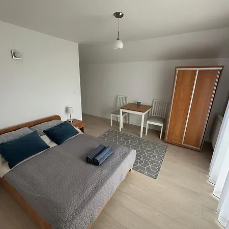 łabędź * Jastarnia